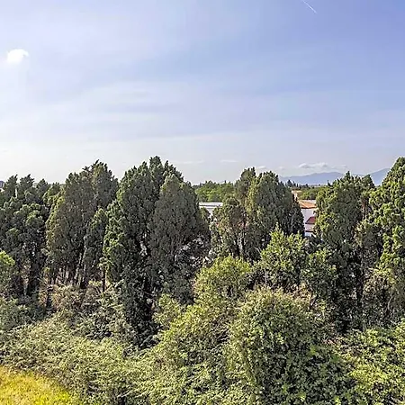 Sud Marche International Perpignan
