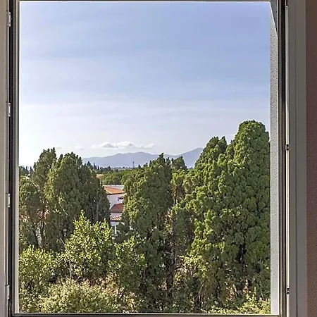 Sud Marche International Perpignan