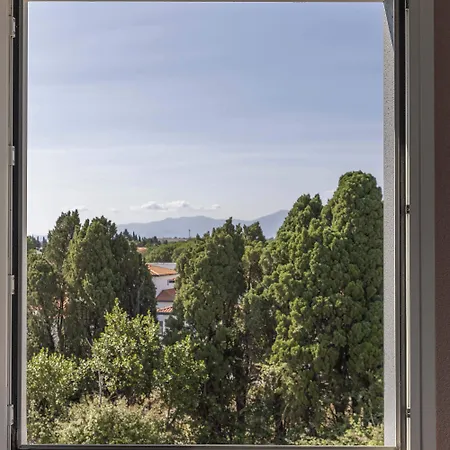 Sud Marche International Perpignan